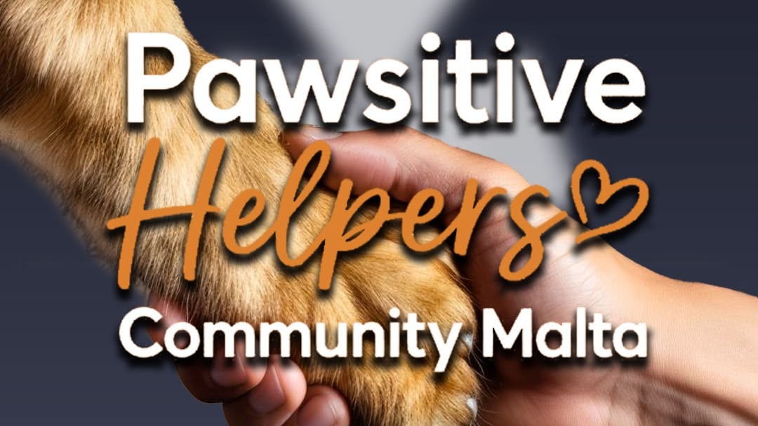 Map Direct Properties Is Committed to Giving Back to the Community
