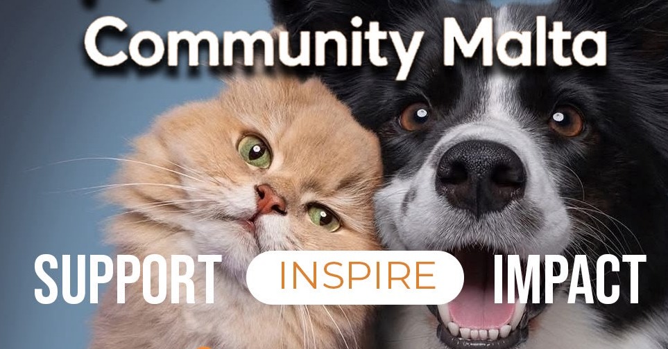 Supporting Our Four-Legged Friends – Pawsitive Helpers
